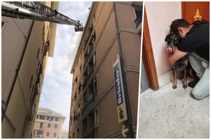 Salvato un cane dal rogo dell’attico di Chiavari