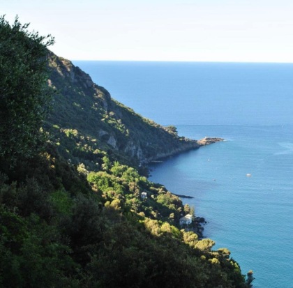 Camogli: ordigno bellico rinvenuto al largo di Punta Chiappa