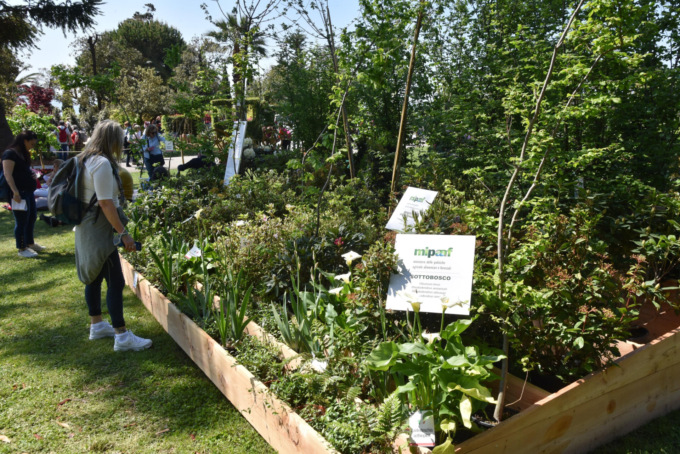 Euroflora: successo per lo stand del Ministero delle Politiche agricole e forestali