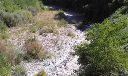 "Torrente Lavagna in secca, le scelte sbagliate del Comune di San Colombano"