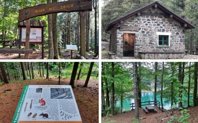 Un piccolo Museo da scoprire nella Foresta delle Lame e tanti altri appuntamenti