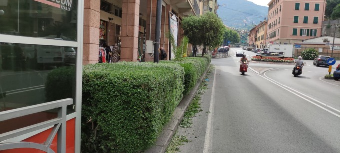 Nuovi interventi nelle aree verdi cittadine