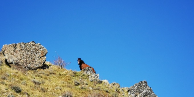 Valli del Parco, gli eventi nel fine settimana
