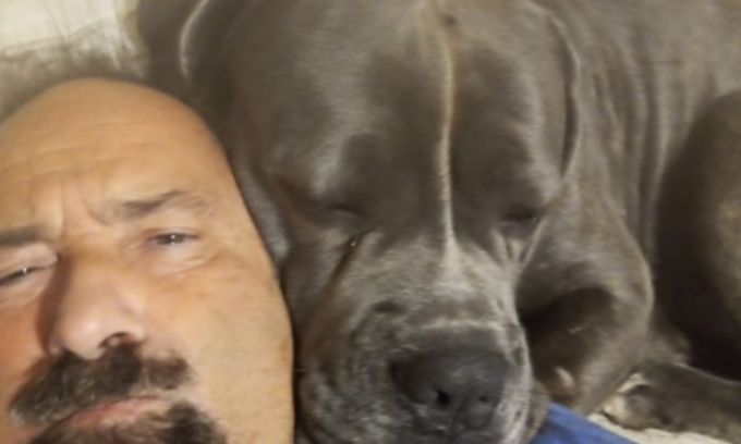 Preside muore e il suo cane sedato e portato al canile