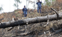 Da domani stato di Grave Pericolosità per incendi boschivi