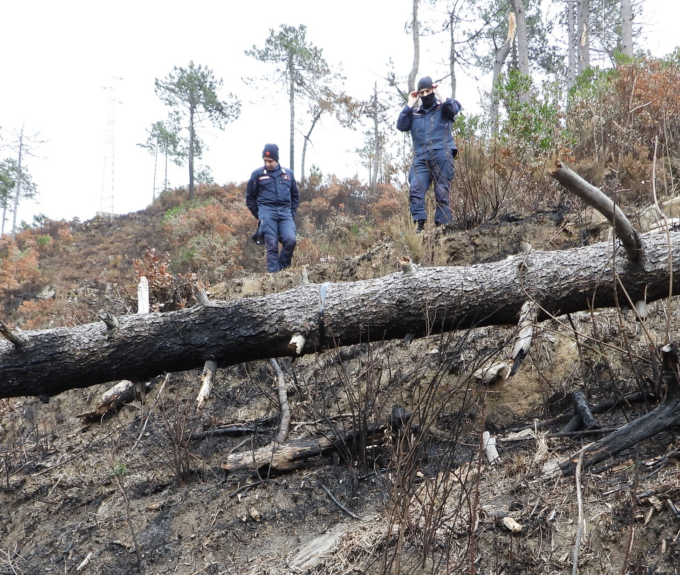 Da domani stato di Grave Pericolosità per incendi boschivi