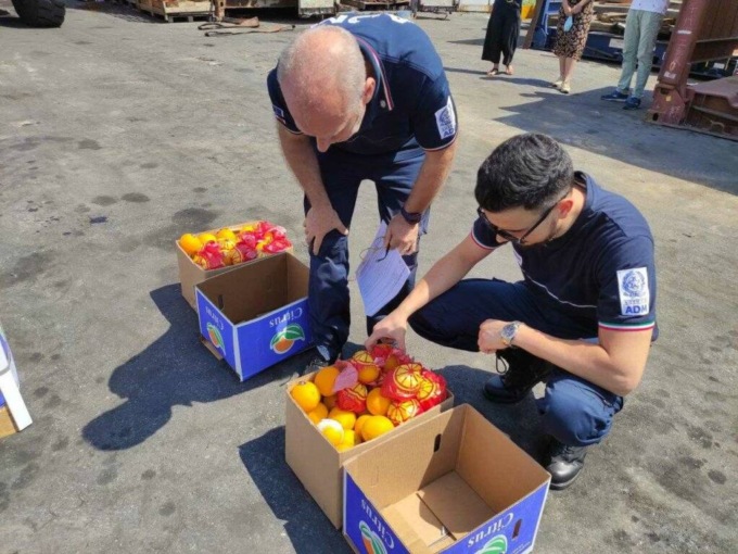 Sequestrate arance piene di larve