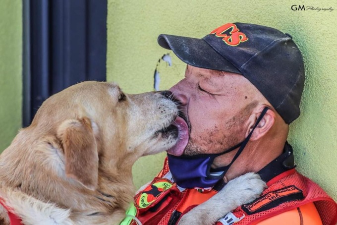 Mia, cane da salvataggio muore dopo la traversata a Porto Venere