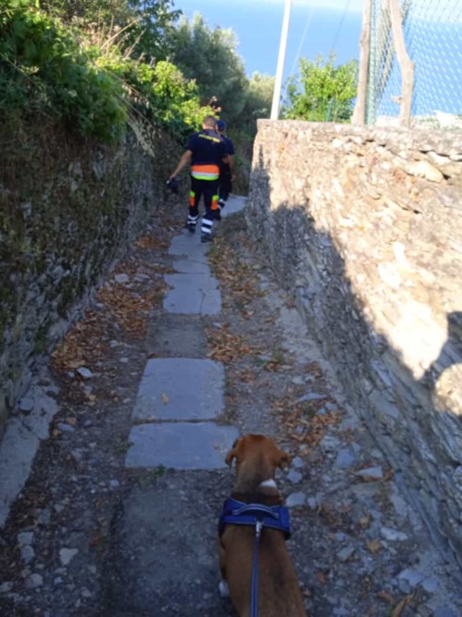 Ritrovato vivo il 91enne disperso