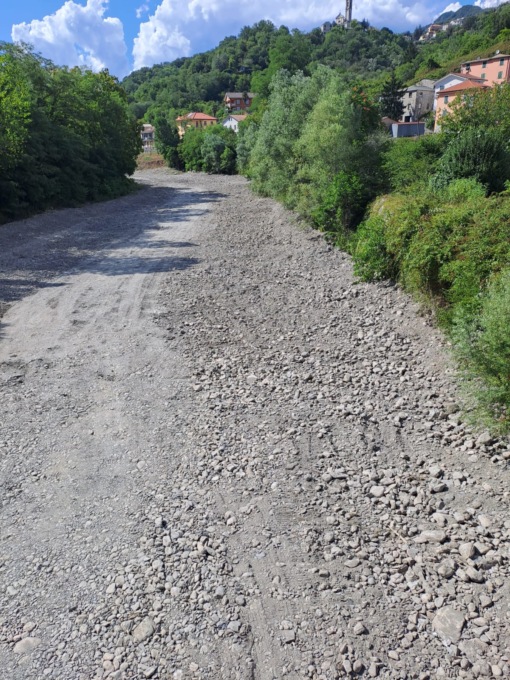 “Torrenti al collasso:  a rischio tonnellate di pesce”