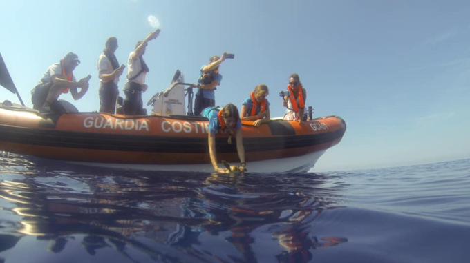 La tartaruga Gigia liberata nelle acque di Portofino