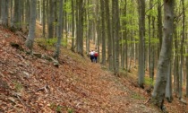 Gli eventi della settimana nelle valli del Parco dell'Aveto