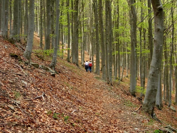 Gli eventi della settimana nelle valli del Parco dell’Aveto