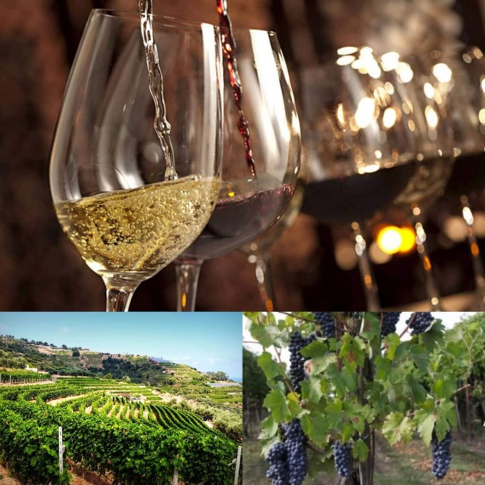 Agricoltura ligure, 228mila euro per la promozione del vino ligure