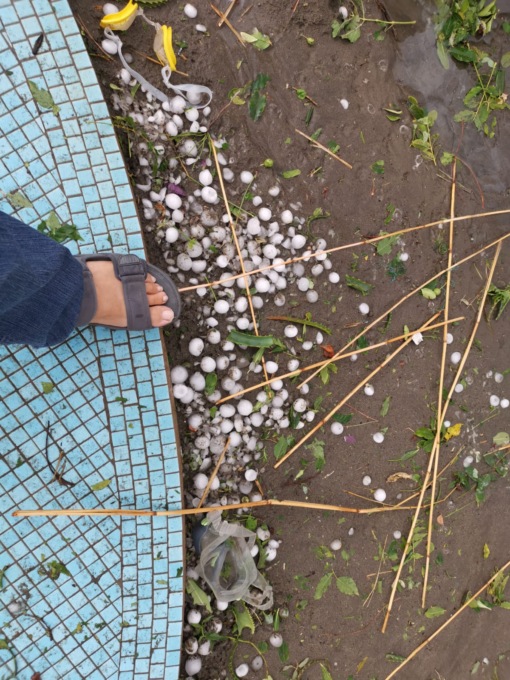 Imprese agricole colpite dalla tempesta del 18 agosto, le richieste di Cia Liguria