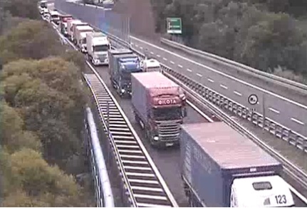 Maltempo, albero caduto in autostrada coda di 2 km
