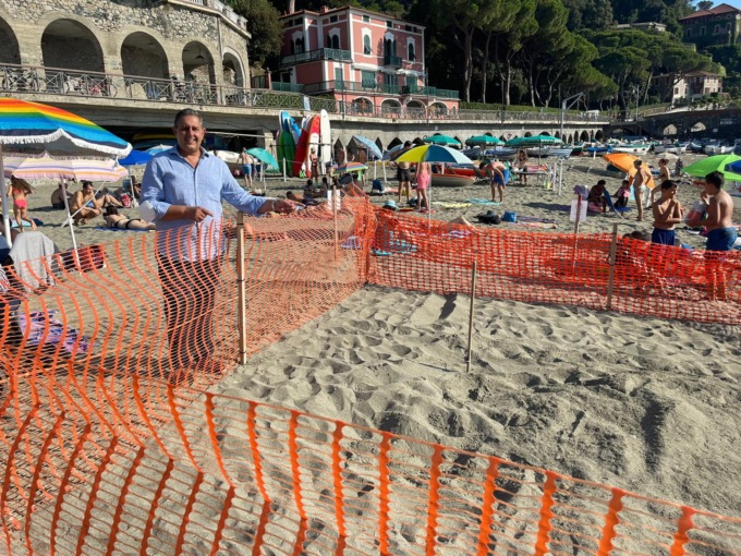 La tartaruga di Levanto si chiamerà Alice