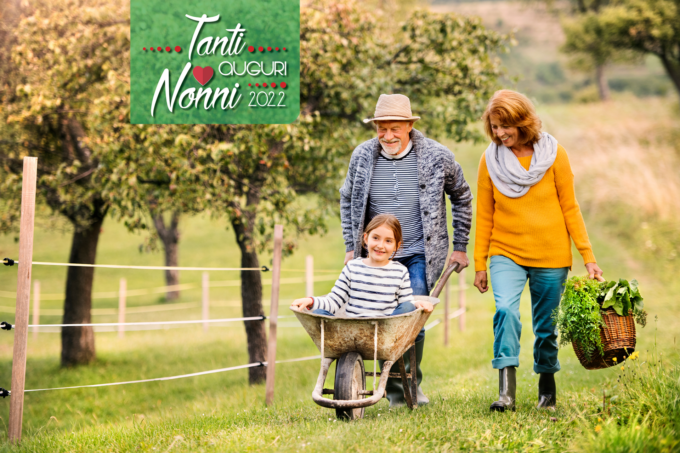 Facciamo gli auguri ai nostri nonni evergreen