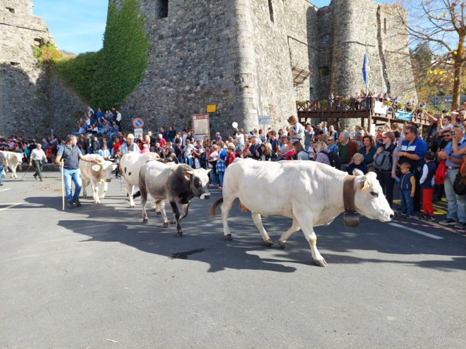 Oltre 3mila persone alla Transumanza di Santo Stefano d’Aveto