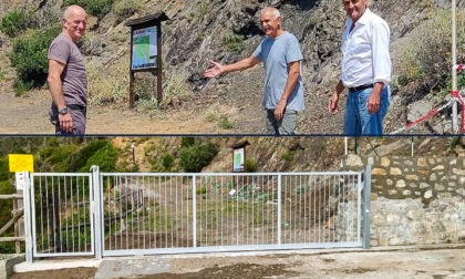 Cinghiali in galleria, installate le barriere