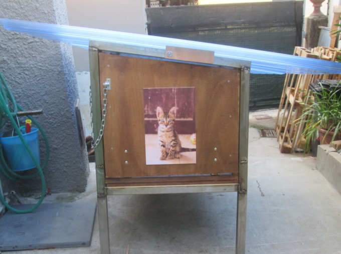 Nuova colonia felina in via Lima