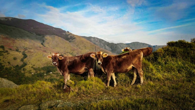“Allevamento e transumanza a breve raggio in valle Sturla”, la mostra