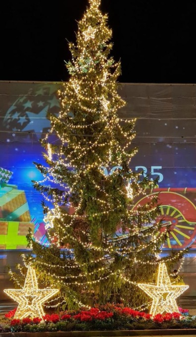 Recco, il sindaco accenderà domani il grande albero di Natale