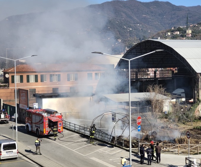 Prende fuoco un canneto, pompieri a Caperana