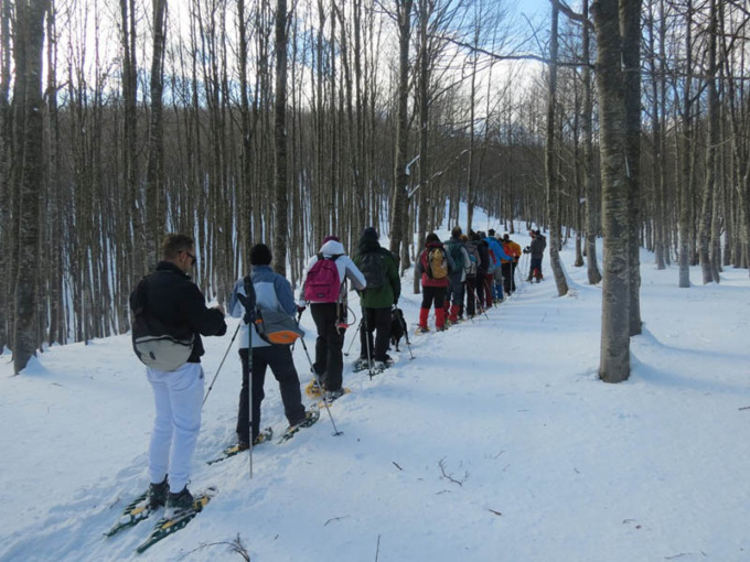Allerta valanghe, un corso per capire i rischi