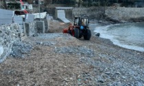 A Recco Spiaggia dei Frati chiusa per rimuovere la posidonia