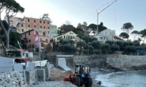 Spiaggia dei Frati chiusa per rimuovere la posidonia