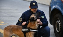 Operazione “Eagles”, arrestati tre spacciatori del Levante ligure