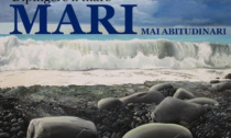 Mostra "Mari mai abitudinari", ultimi giorni per visitarla