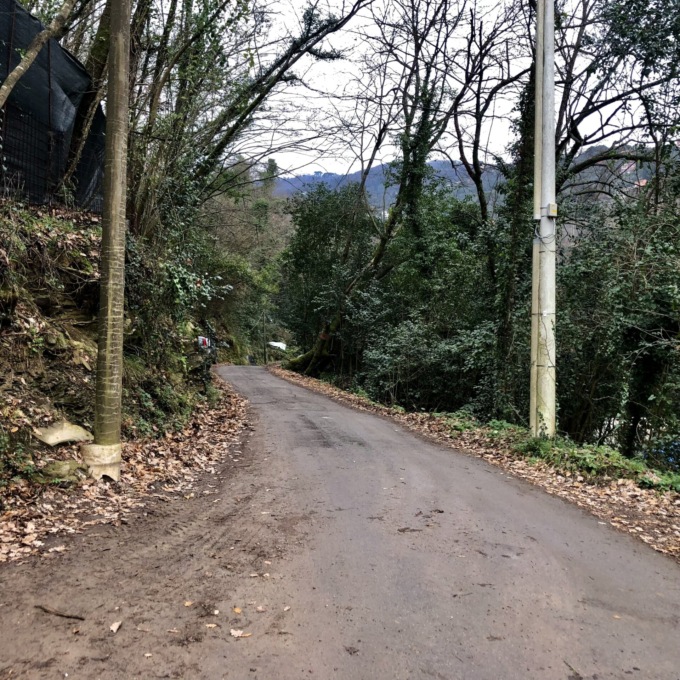 Santa Margherita, il Tar riconosce l’uso pubblico di via dei Gandolfi