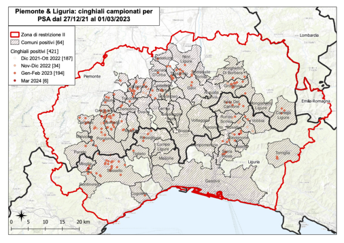 Peste suina, cinque nuovi casi in Liguria