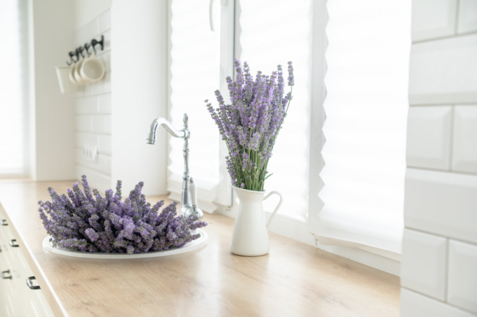 Da venerdì 17 marzo in regalo con Il Nuovo Levante i semi di lavanda