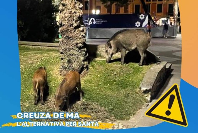 Cinghiali a Santa, le proposte di Creuza de Ma – L’Alternativa per Santa