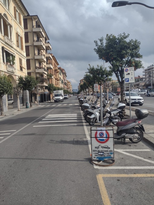 Potature piante in corso Gianelli, occhio al divieto di sosta