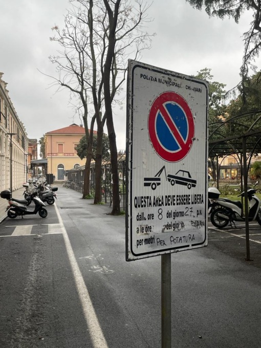 Chiavari, attenzione al divieto di sosta per un intervento di potatura