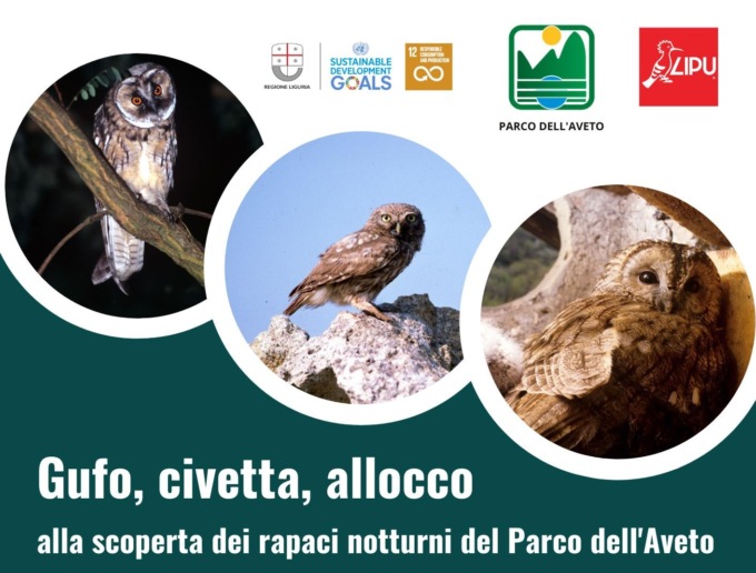 Alla scoperta dei rapaci notturni del Parco dell’Aveto