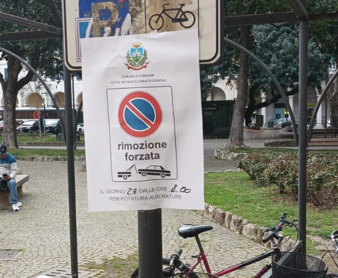 Potatura alberi in Piazza N.S. dell’Orto a Chiavari, attenzione al divieto di sosta