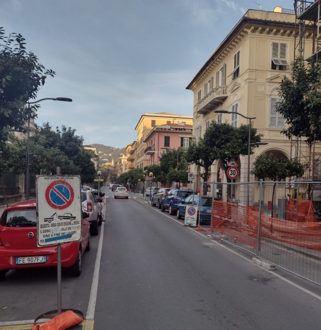 Potatura piante in viale Millo a Chiavari, attenzione al divieto di sosta