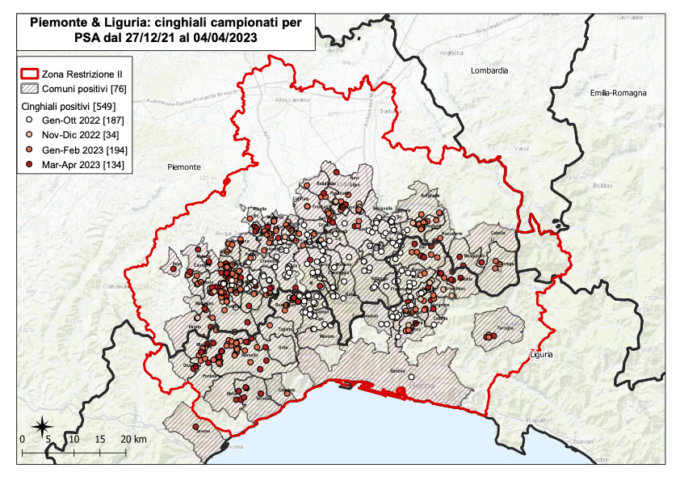 Peste suina, tre nuovi casi in provincia di Genova