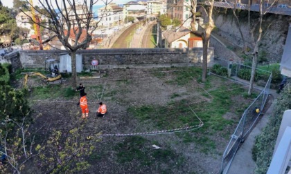 Riqualificazione area verde via Bettolo, riniziati i lavori