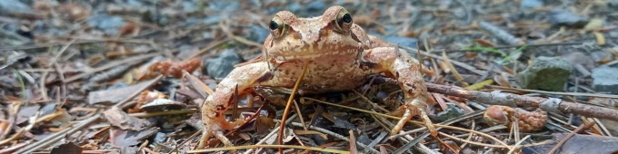 Workshop fotografico nel Parco dell’Aveto