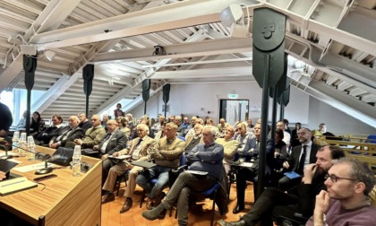 Emergenza cinghiali, riunione dei sindaci liguri