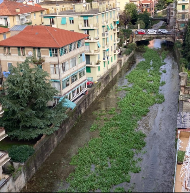 È nato il Comitato  Tutela Cittadini Rupinaro