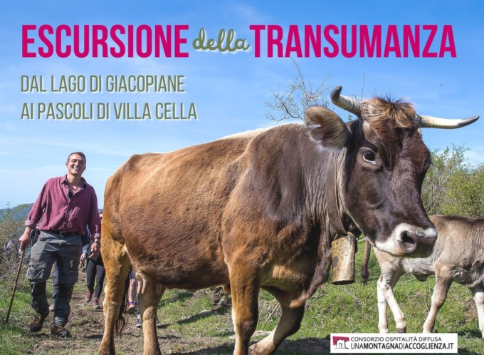 Parco dell’Aveto, domenica 14 maggio torna l’Escursione della Transumanza