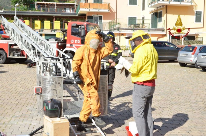 L’operazione di recupero di uno sciame di api