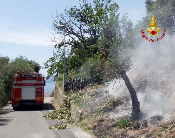 A fuoco un oliveto a Cogorno, intervento dei vigili del fuoco
